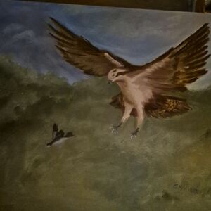 Bird of Prey Canvas Art